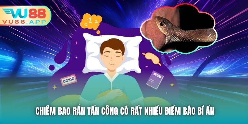 Chiêm bao rắn tấn công có rất nhiều điềm báo bí ẩn
