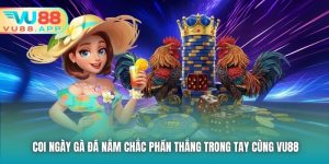 Coi Ngày Gà Đá Nắm Chắc Phần Thắng Trong Tay Cùng VU88