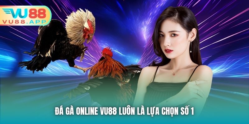 Đá Gà Online Vu88 luôn là lựa chọn số 1 