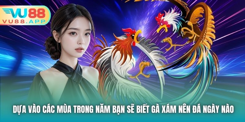 Dựa vào các mùa trong năm bạn sẽ biết gà xám nên đá ngày nào