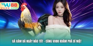 Gà Xám Đá Ngày Nào Tốt - Cùng VU88 Khám Phá Bí Mật