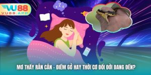 Mơ Thấy Rắn Cắn - Điềm Gở Hay Thời Cơ Đổi Đời Đang Đến?
