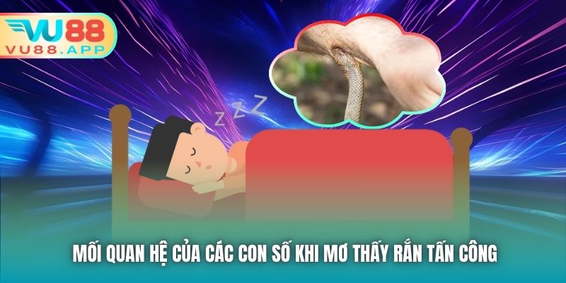 Mối quan hệ của các con số khi mơ thấy rắn tấn công