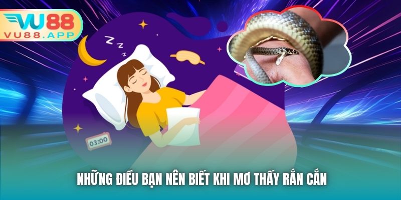 Những điều bạn nên biết khi mơ thấy rắn cắn