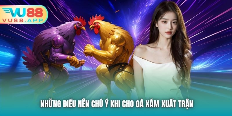 Những điều nên chú ý khi cho gà xám xuất trận