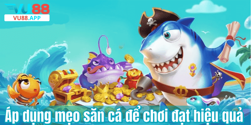 Áp dụng mẹo săn cá để chơi đạt hiệu quả
