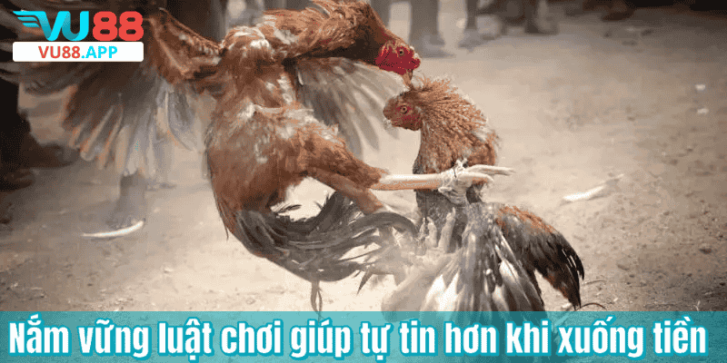 Nắm vững luật chơi giúp tự tin hơn khi xuống tiền
