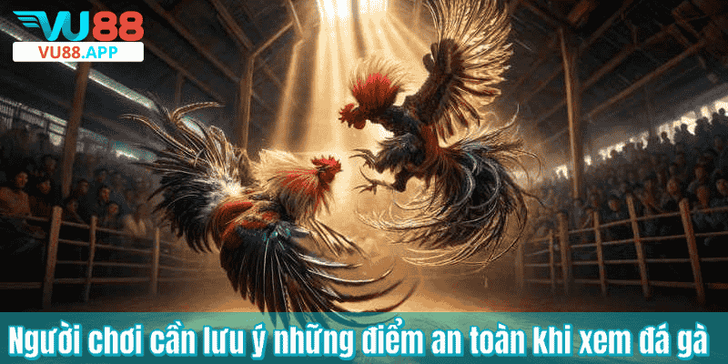 Người chơi cần lưu ý những điểm an toàn khi xem đá gà