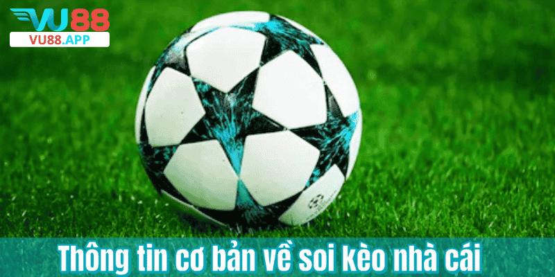 Thông tin cơ bản về soi kèo nhà cái